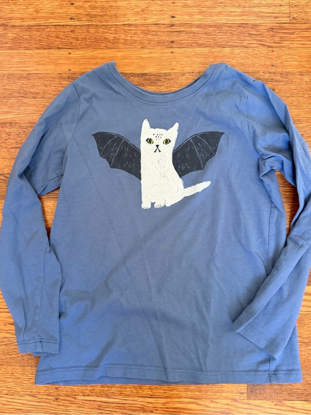 Tea Collection Blue Long-Sleeve Cat with Bat Wings Tee